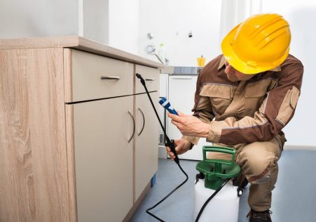 pest controller spraying cabinets